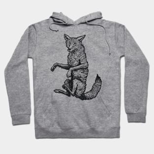 A Levity of Animals: Cunning Coyote Hoodie